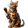 Bengalkatze Bengal Cat