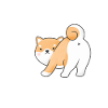 Dog Shiba Inu Therapy