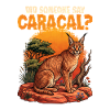 Quelqu’un a dit caracal