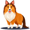 Kleiner Sheltie (Comic)