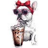 French Bulldog with Sunglasses