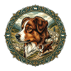 Australian Shepherd Portrait