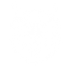 Skull with Horns Skull