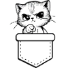 cat
