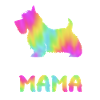 Scottish Terrier