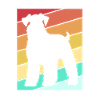 Schnauzer nain