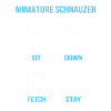 Zwergschnauzer