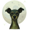 Chien nocturne devant la pleine lune