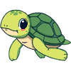 Turtle Turtle Gift