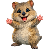 Süßer Quokka