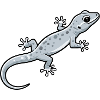 Gecko Eidechse Geschenk