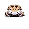 Leopardgecko Sprüche Lustige Leopardgecko Geschenk