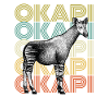 Typographie géométrique rétro Okapi