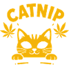 Gelbe Nip-Händlerkatze