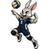 Handball Rabbit