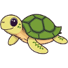 Funny Turtle Gift
