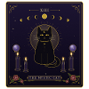 Mystic Cat Tarot Night