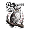 Owl of Wisdom and Patience
