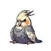 Don't Bother Me Cockatiel