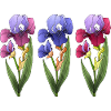 Fleur