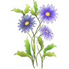 Fleur
