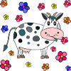 Vache