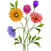 Fleur