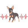 Zwergpinscher