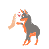 Pinscher nain