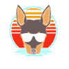Pinscher nain