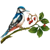 Bunter Vogel