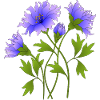 Blumen
