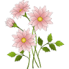 Fleur