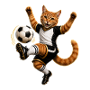 Football Cat