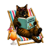 Lecture d’été
