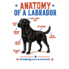 Black Labrador Anatomie Shirt