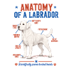 White Labrador Anatomie Shirt