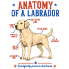 Chemise jaune d’anatomie Labrador