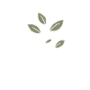 Mental Health Matters Design