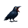 F-Caw-F Krebskrähe Krebsüberlebender FCAWF Krebs