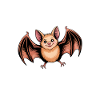 Bat Sayings Funny Bat Gift