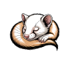 Ermine Sayings Ermine Funny Ermine Gift