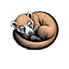 Coatis Sayings Funny Coatis Gift