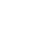 Waschbär Peace Fenster Design