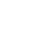 Langsame Reise Schildkröte Camper