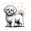 Bichon Frise Dog Breed