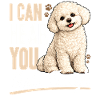 Bichon Frise Dog Breed