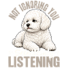 Bichon Frise Dog Breed