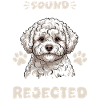 Bichon Frise Dog Breed