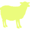 schaf